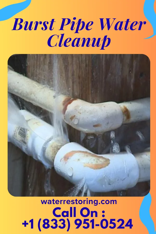 Burst Pipe Water Cleanup in Strathmoor Manor, KY