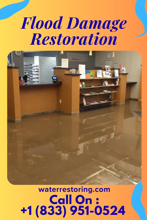 Flood Damage Restoration in Strathmoor Manor, KY