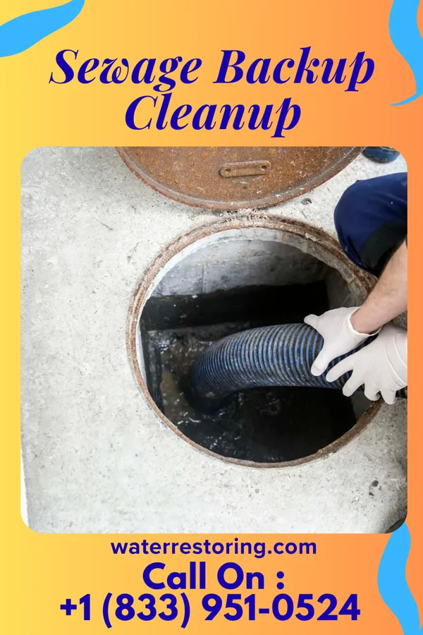 Sewage Backup Cleanup in Strathmoor Manor, KY