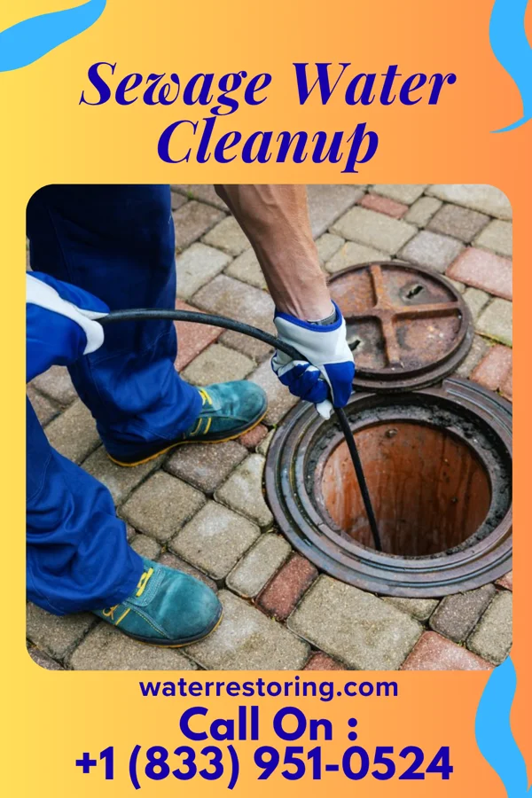 Sewage Water Cleanup in Strathmoor Manor, KY